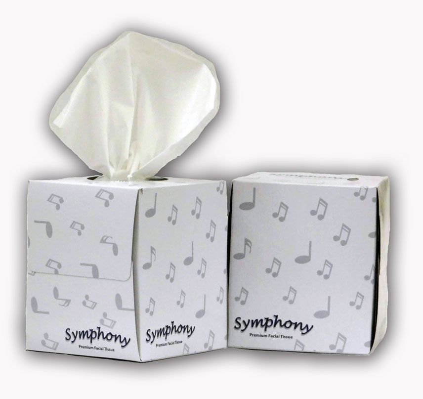 Whisper Facial Tissue Cube – Bidfood Catering Supplies